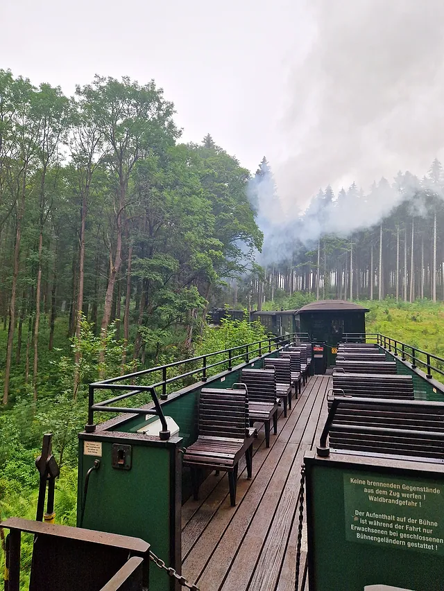 Offener Aussichtswagen einer Schmalspurbahn im Wald