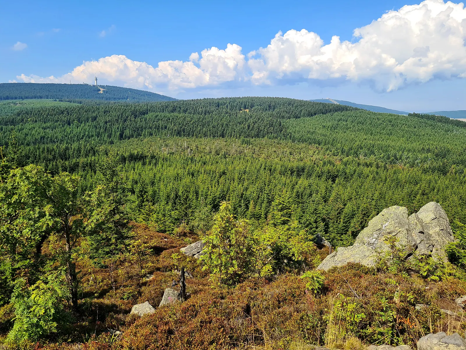Sommerlicher Blick über bewaldete Höhenzüge des Erzgebirges unter Quellwolken