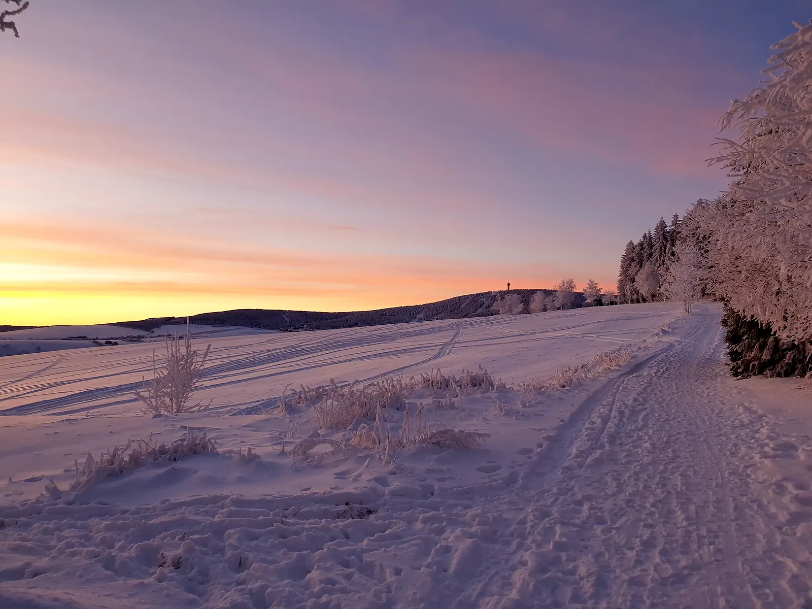 Rosafarbener Sonnenaufgang über verschneiten Hügeln mit Raureif an den Bäumen