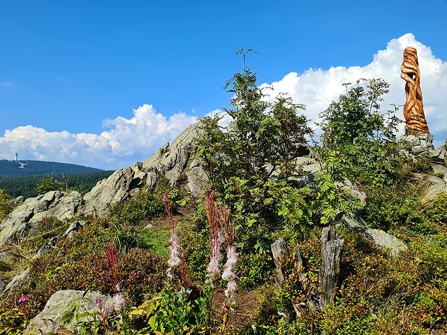 Felsen und blühende Heide unter blauem Himmel, im Hintergrund Wälder