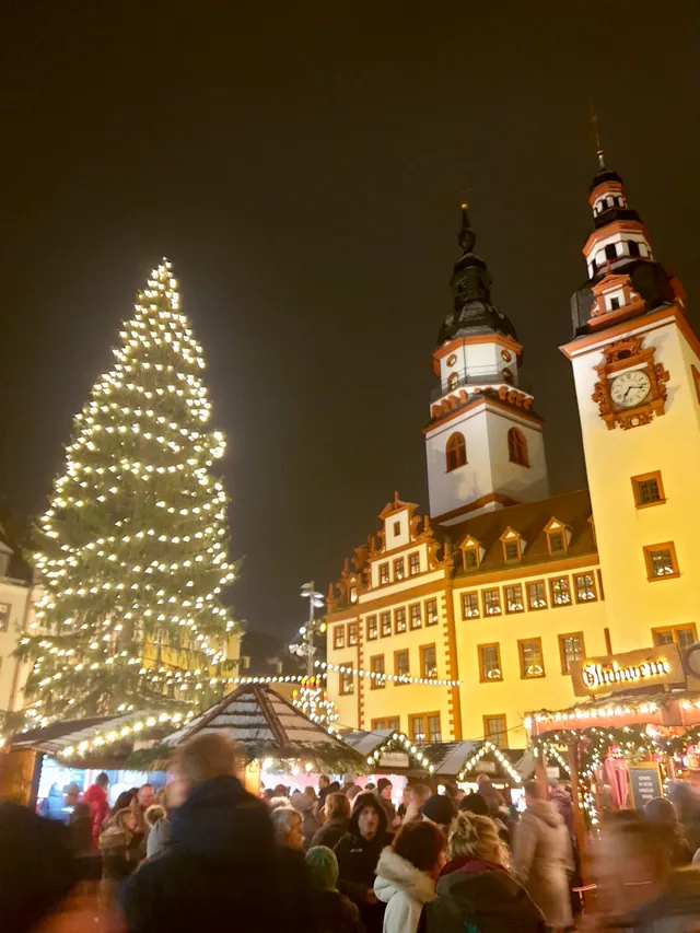 Festlich beleuchteter Weihnachtsmarkt mit großem Christbaum vor historischem Rathaus